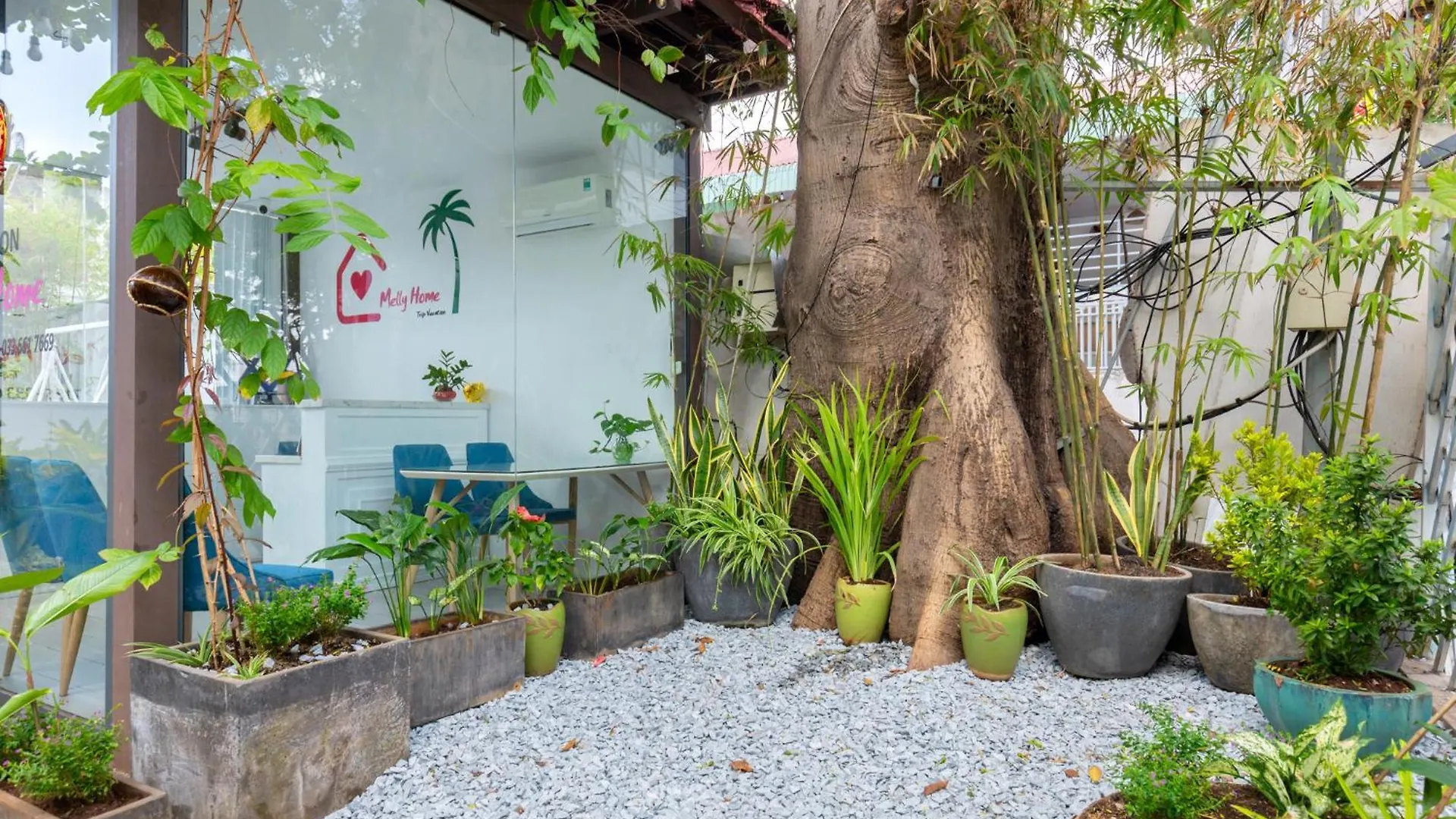 Apartment Melly Home - 128 Hht Vung Tau